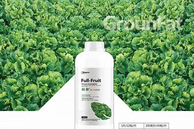 芹菜叶面大,晚上露水大,芹菜倒歪有方法吗？