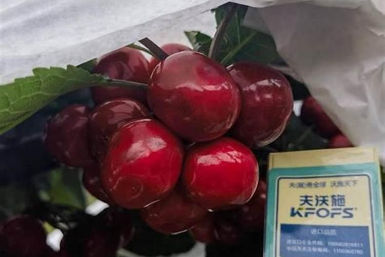 芒果树扬花期打什么药花更加红？