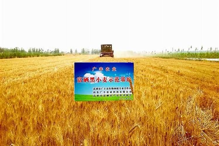 秋葵开花结果期施三个15复合肥好吗？