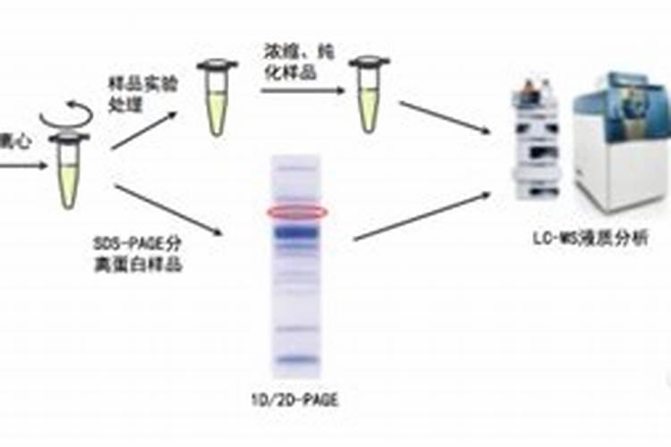给植物施有机肥为什么能促进植物生长