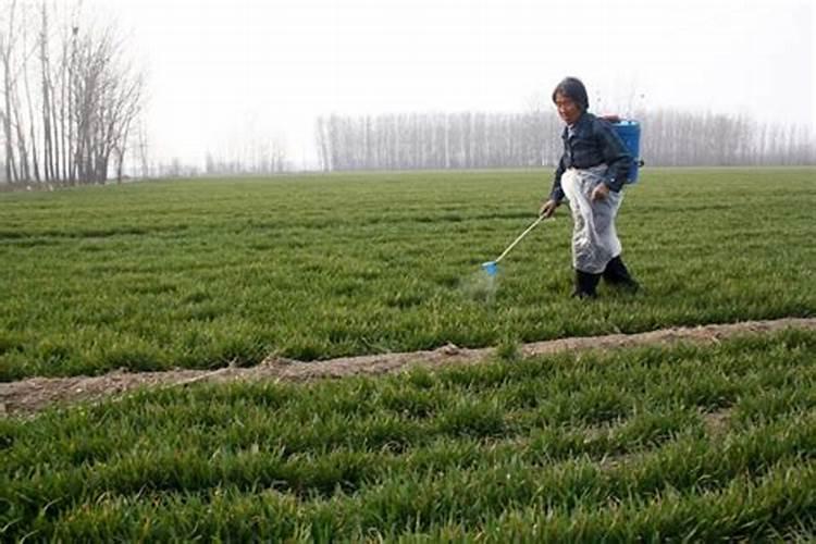 广西南宁奥浦森肥业有限公司企业介绍