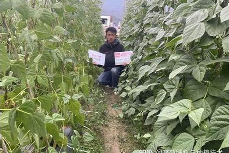 赵会杰主要学术成果