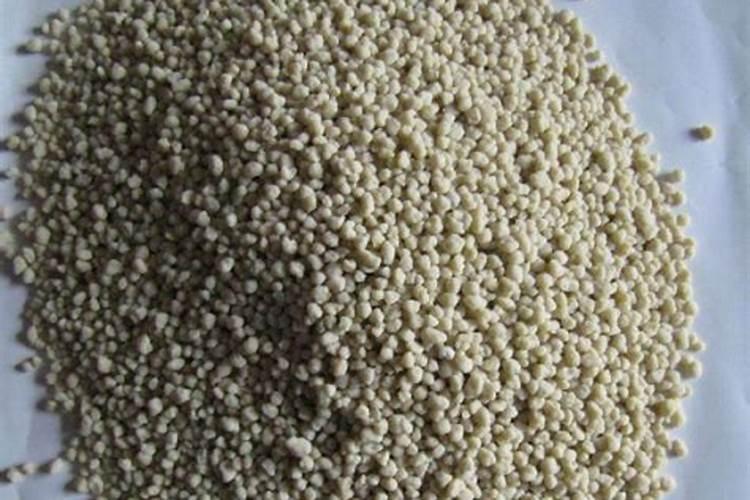 栽植三年的桃树为何无花芽？桃树要怎么管理才能早结果？