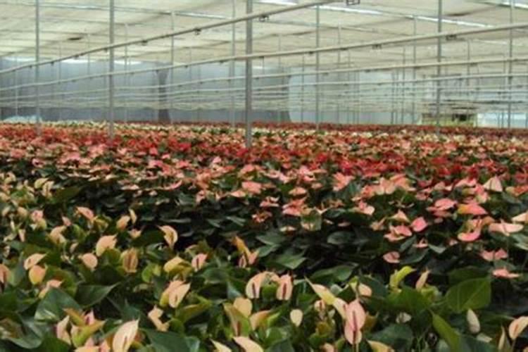 黏质土60平方一天可以渗多少吨水