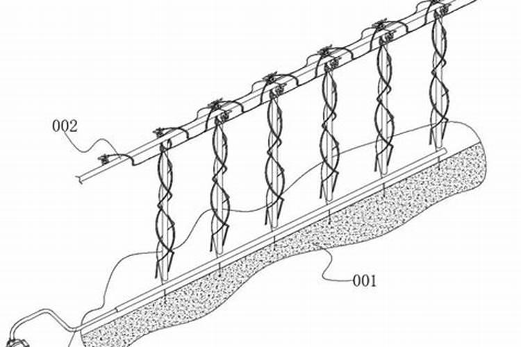 果树冲施肥多久用一次,冲施肥与水溶肥的区别,冲施肥的效果怎么样？