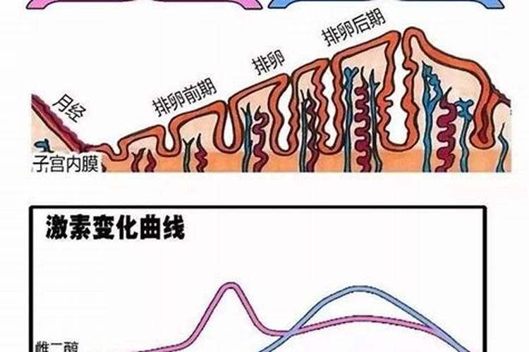冲施水溶肥几天见效