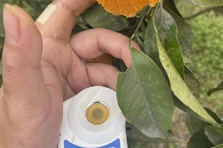 磷酸胺与磷酸二氢钾有什么区别