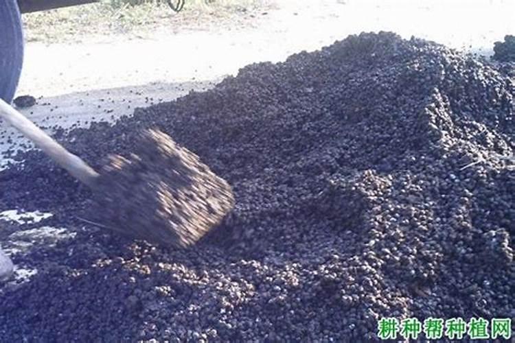 葡萄糖做叶面肥有效吗