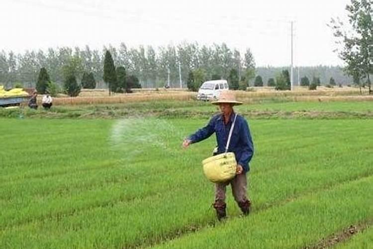 化肥原料氮肥和磷肥水泡了含量能掉吗？