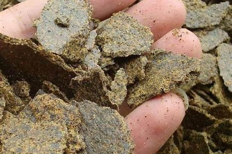 菜饼肥料的正确使用指南:让植物吃得健康又安全