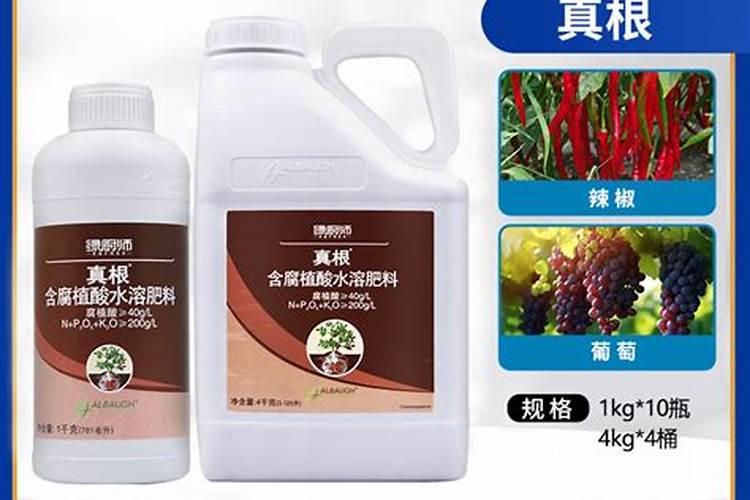 蟹爪兰怎样修剪