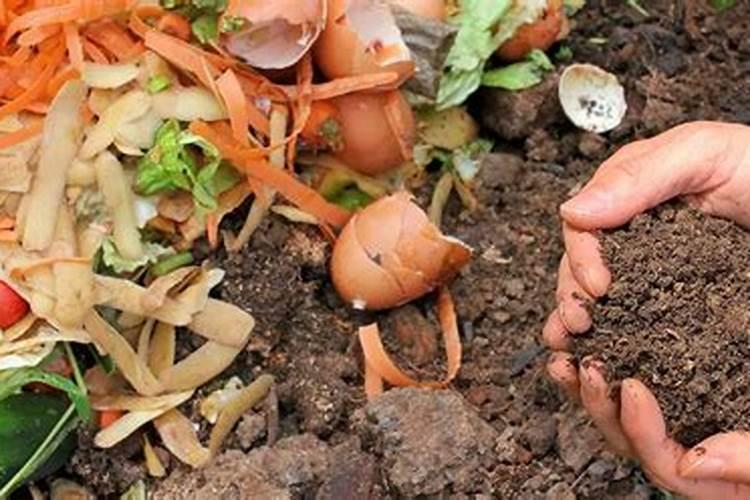 种毛豆到底要不要施肥 施什么肥好