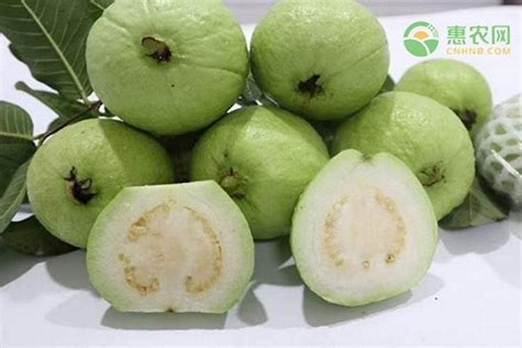 碳铵是什么肥料 碳酸氢铵肥效期多长