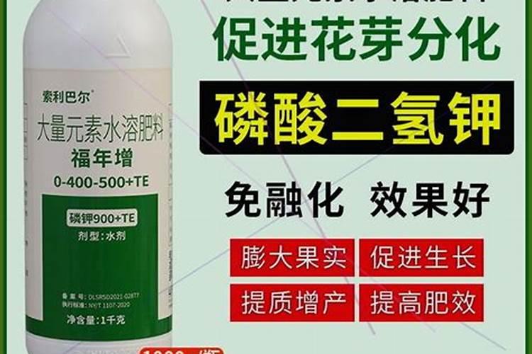 磷钾肥一般指什么肥