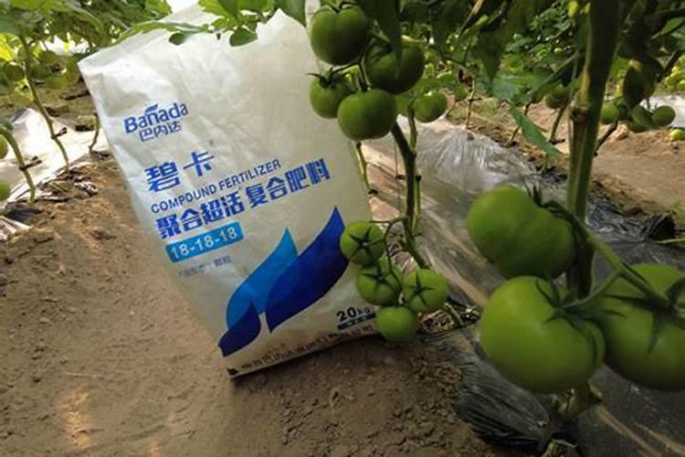 中国十大名牌水溶肥