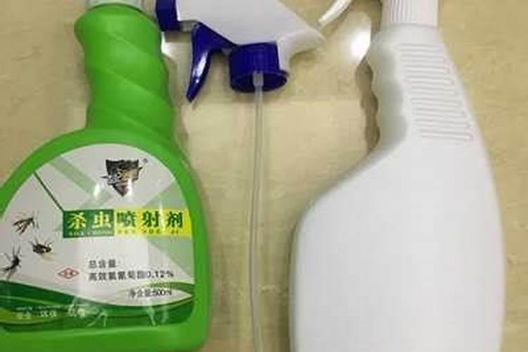 蒜苗叶子发黄怎么回事？怎么防治？