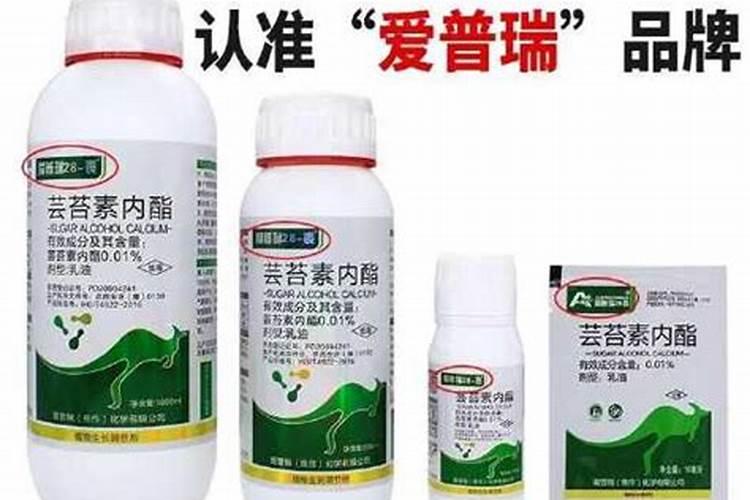 芸苔素对农作物起什么作用