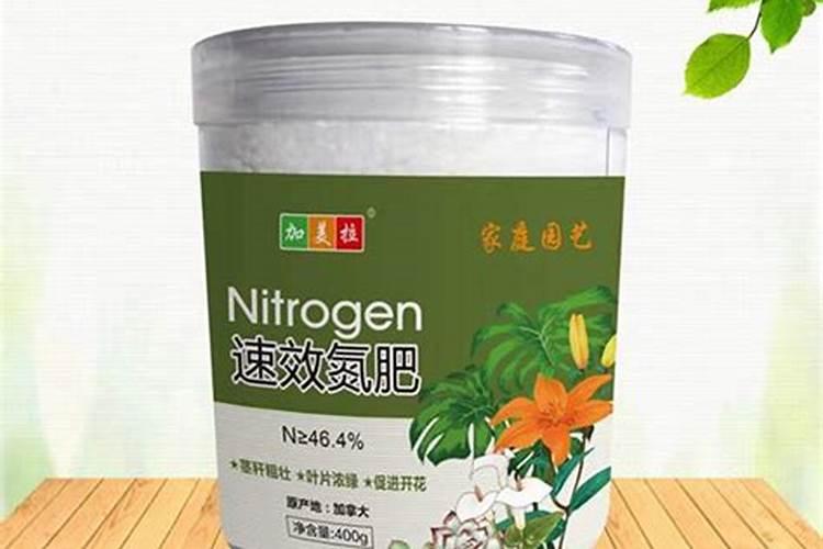 长春可进车露营搭车载帐篷的地方