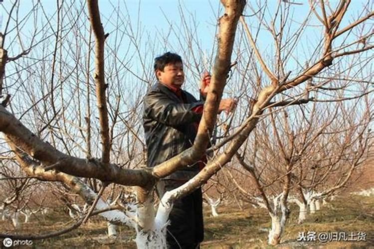 钾肥上市公司(十大钾肥公司排名)