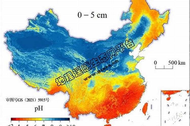 脐橙红蜘蛛用什么药