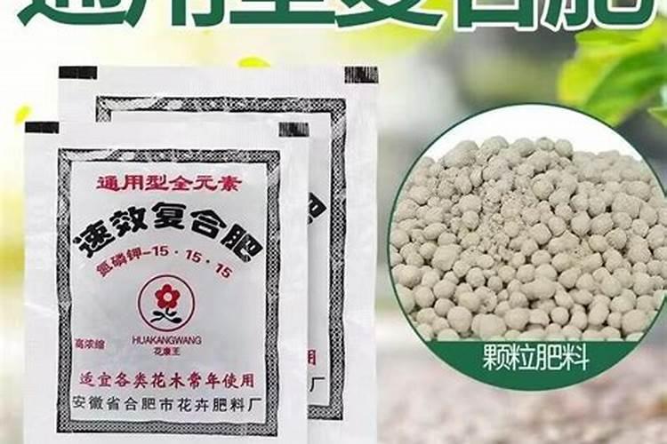 黄杨施什么肥长得快 施肥注意事项有哪些