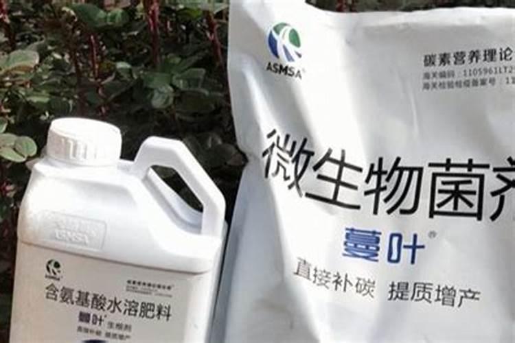 花生是忌氯作物吗,忌氯作物可以用低氯的肥料吗