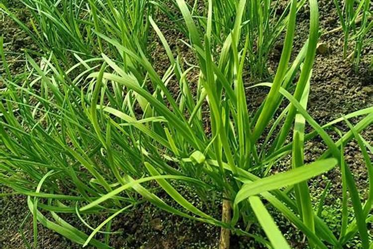 锅炉水垢中的硫酸钙可用碳酸钠溶液处理,使之转化为碳酸钙,再用酸...