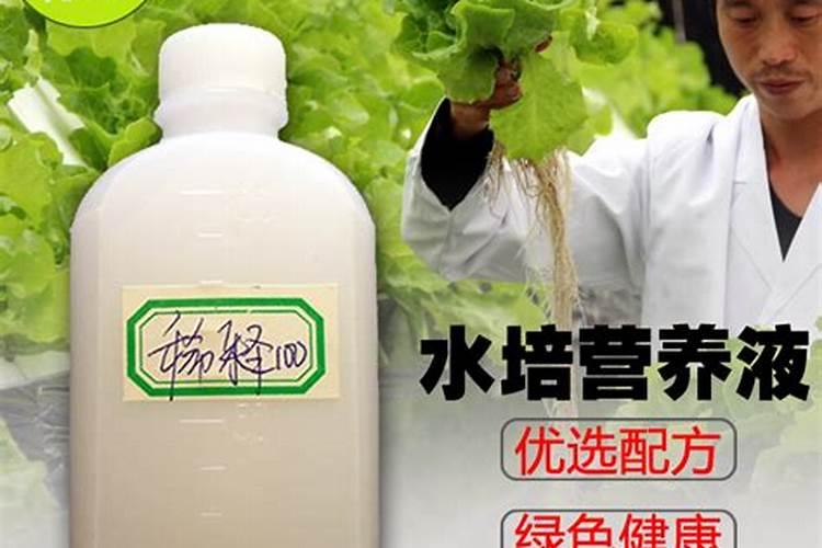 花上营养液好还是花肥好？