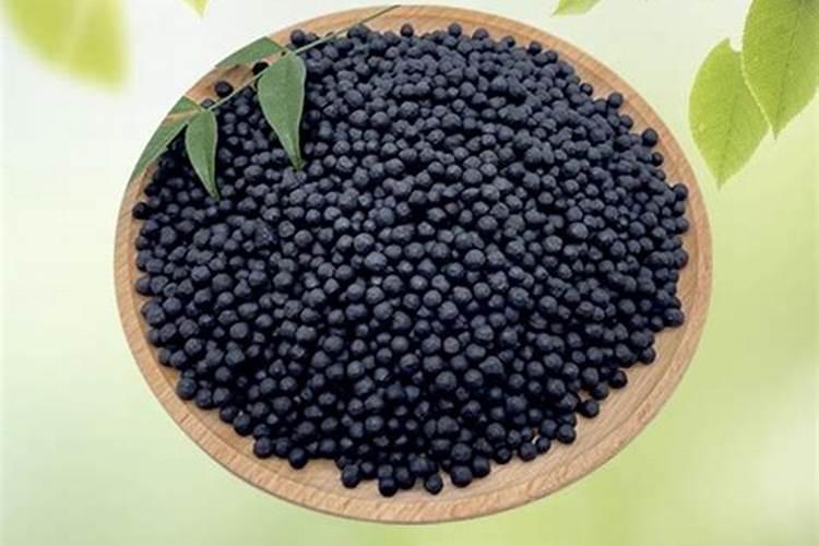 青苔喜欢什么肥