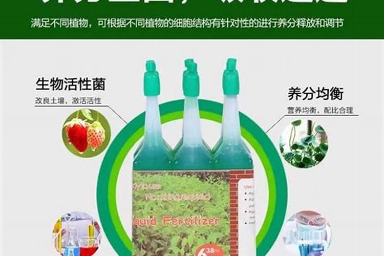 赤霉酸和芸苔素混用