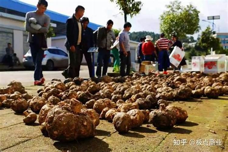 水溶肥原料有哪些