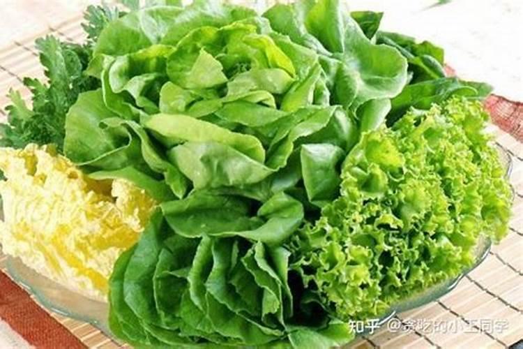 苹果树补钙的叶面肥有哪些苹果树叶面肥一年喷几次都喷什么肥