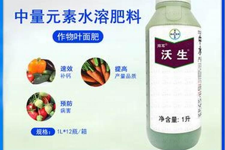 哪种叶面用的钙肥吸收好