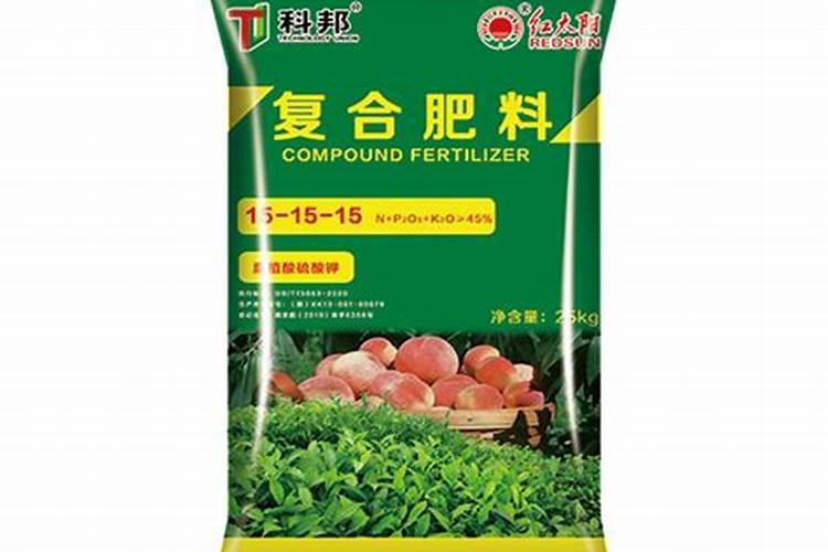请教大师什么是蓝莓平茬