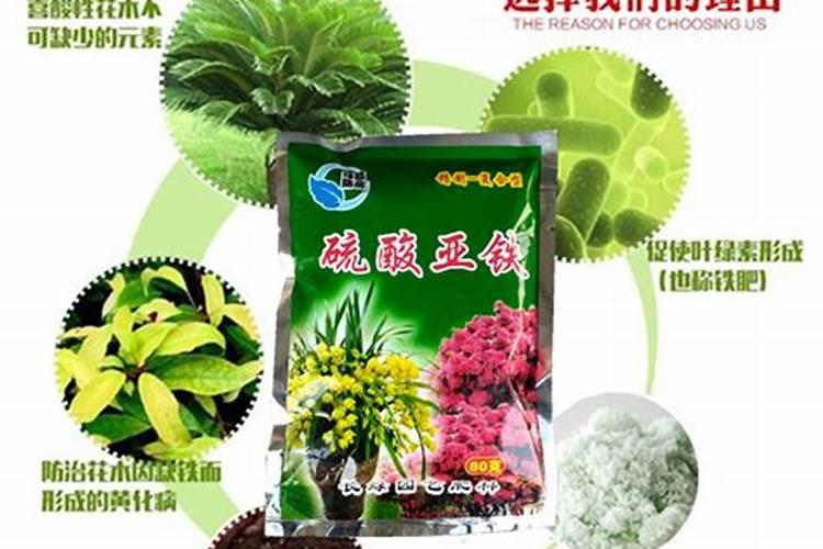 苹果树施肥方法及时间 苹果树怎样施肥比较好呢