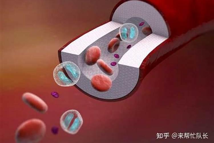 钾离子简介