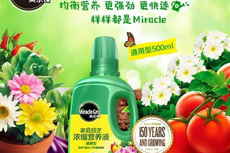 家庭养花要买什么肥料