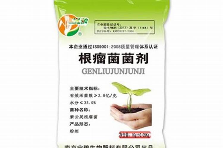 豆科植物与根瘤菌是什么关系