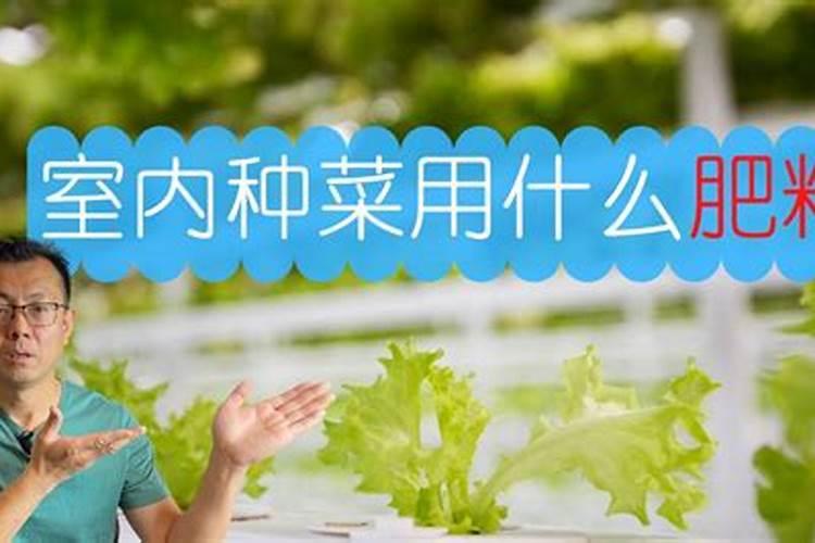 花多多和奥绿肥的使用及注意事项