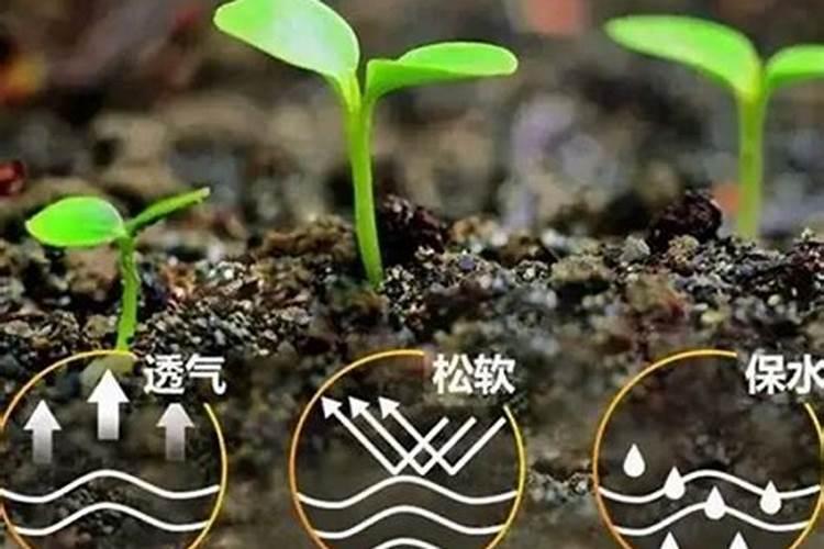 有机肥为什么是无机物