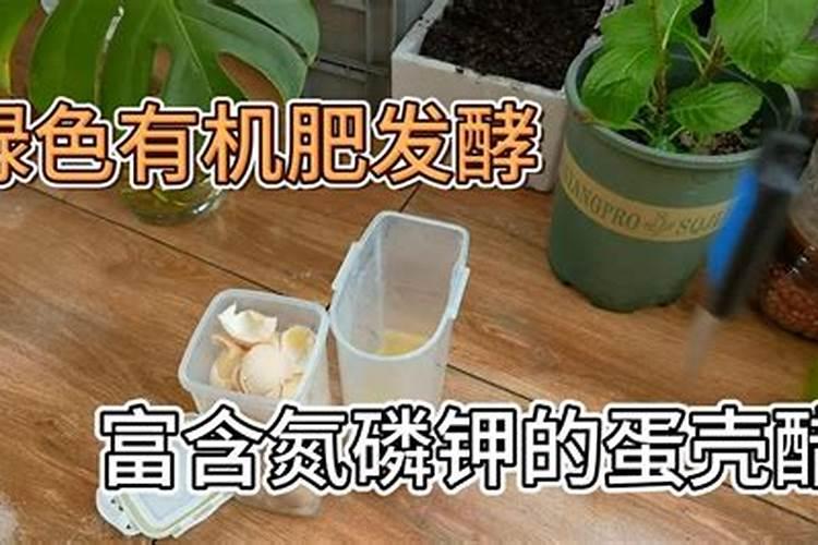 蛋壳可以放花盆里吗