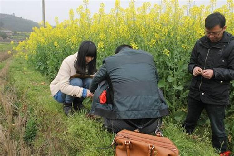 水溶肥为什么比复合肥好？