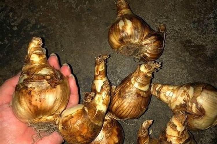 怎样简单辨别钾肥的真假与好坏？