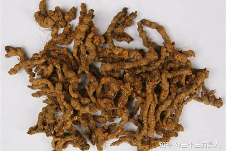 发财树施什么肥料好长得最快最茂盛(浇什么肥可枝叶旺盛)