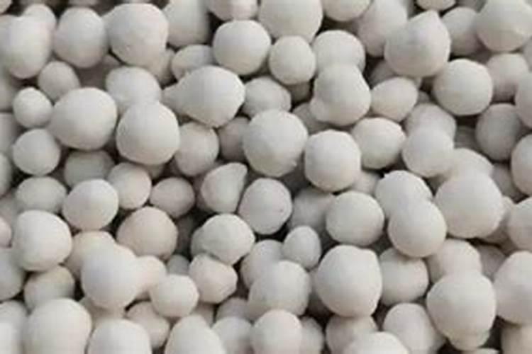 菜心怎么种才不招虫 种菜心不招虫方法