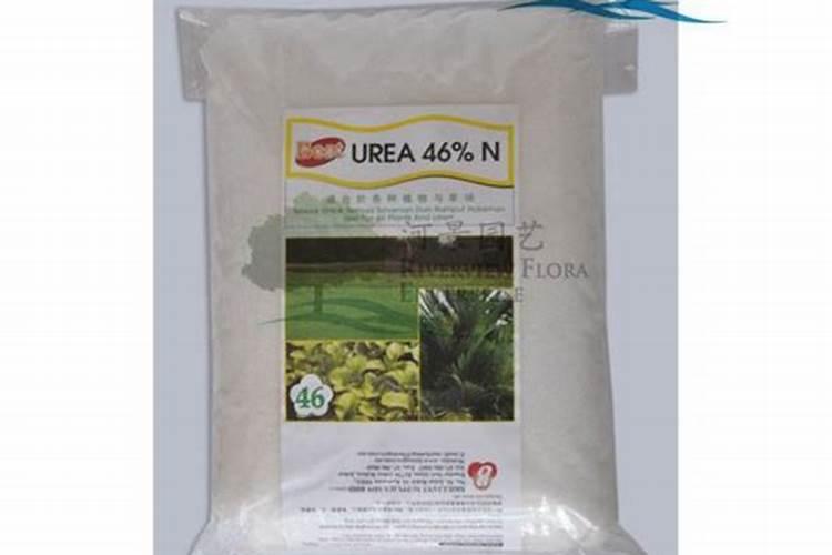 草坪需要施什么肥料好