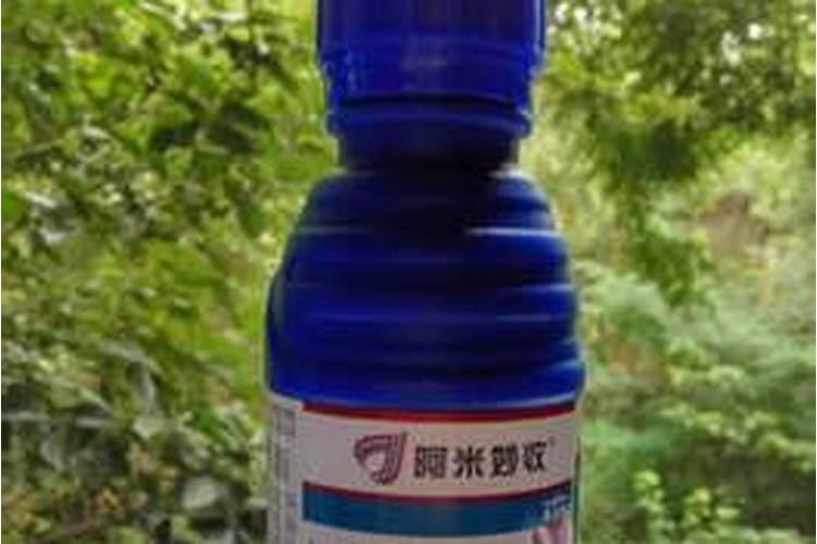 牡丹浇什么肥料合适