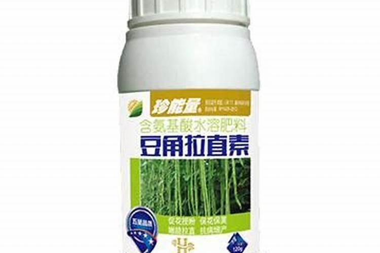 牡丹可以在室外种植吗？