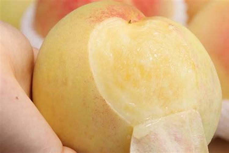 烂桃子做肥料养花可以吗烂桃子怎么做花肥