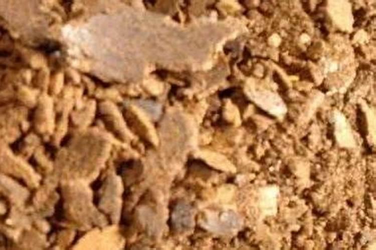 油枯是氮肥吗还是磷肥